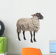 Suffolk Sheep - 6 Years Old Wall Decal