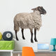 Suffolk Sheep - 6 Years Old Wall Decal
