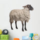 Suffolk Sheep - 6 Years Old Wall Decal