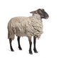 Suffolk Sheep - 6 Years Old Wall Decal