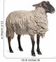 Suffolk Sheep - 6 Years Old Wall Decal