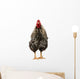 Wyandotte Rooster Wall Decal