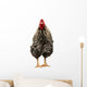 Wyandotte Rooster Wall Decal