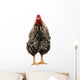 Wyandotte Rooster Wall Decal