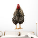 Wyandotte Rooster Wall Decal
