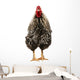 Wyandotte Rooster Wall Decal