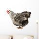Wyandotte hen Wall Decal