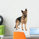 german shepherd (8 months) Wall Decal