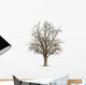 Apple Tree Wall Decal