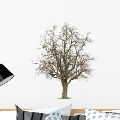 Apple Tree Wall Decal shown on a wall