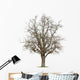 Apple Tree Wall Decal
