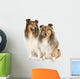 group of two shelties (5 and 6 years old) Wall Decal