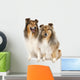group of two shelties (5 and 6 years old) Wall Decal