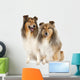 group of two shelties (5 and 6 years old) Wall Decal
