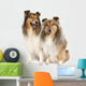 group of two shelties (5 and 6 years old) Wall Decal