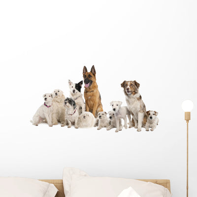 German Shepherd Border Collie Wall Decal shown on a wall