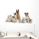 German Shepherd Border Collie Wall Decal