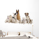 German Shepherd Border Collie Wall Decal