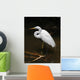 Tropical Bird Park Florida Wall Mural