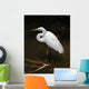 Tropical Bird Park Florida Wall Mural