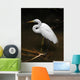 Tropical Bird Park Florida Wall Mural