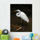 Tropical Bird Park Florida Wall Mural