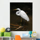 Tropical Bird Park Florida Wall Mural