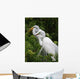 Tropical Bird Park Florida Wall Mural