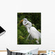 Tropical Bird Park Florida Wall Mural