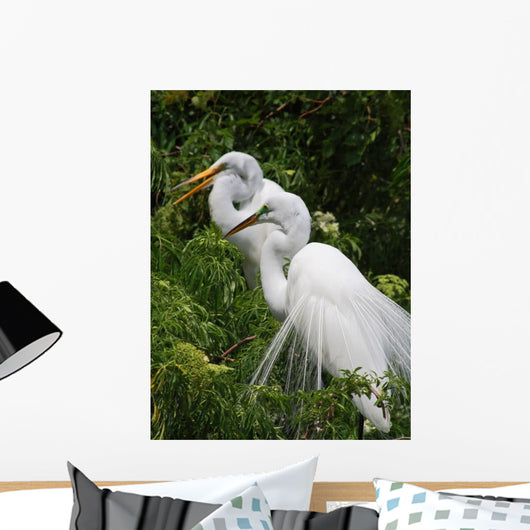 Tropical Bird Park Florida Wall Mural