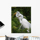 Tropical Bird Park Florida Wall Mural