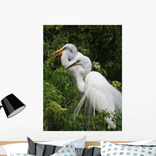 Tropical Bird Park Florida Wall Mural