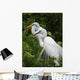 Tropical Bird Park Florida Wall Mural