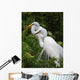 Tropical Bird Park Florida Wall Mural