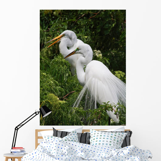 Tropical Bird Park Florida Wall Mural