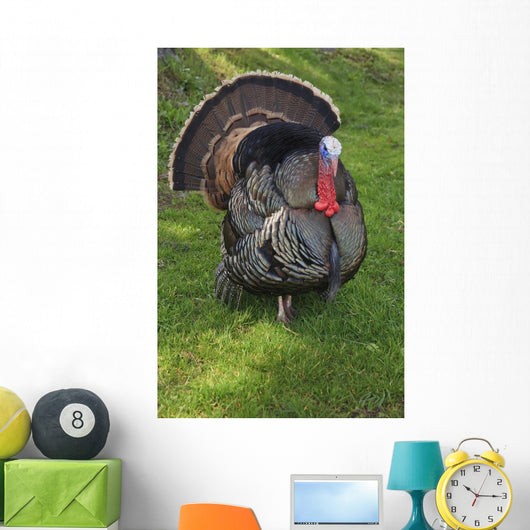 Wild Turkey Wall Mural