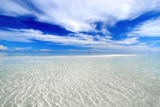 White Beach 1 Wall Decal