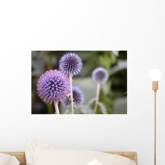 Globe Thistle Wall Decal