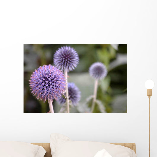 Globe Thistle Wall Decal
