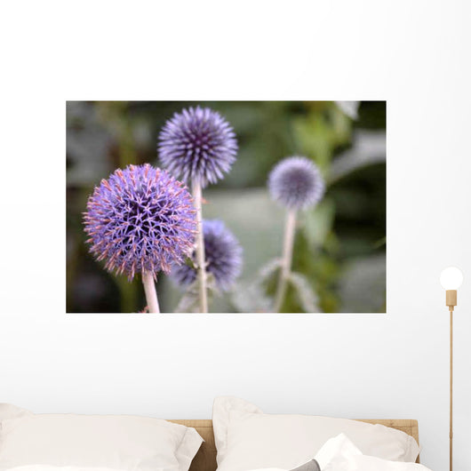 Globe Thistle Wall Decal