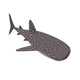 Shark Whale Cartoon Illustration Wall Decal