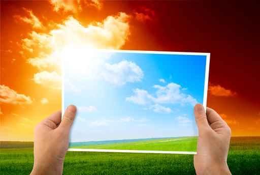 Photo Green Field Hands Wall Decal Design 3
