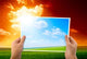 Photo Green Field Hands Wall Decal Design 3