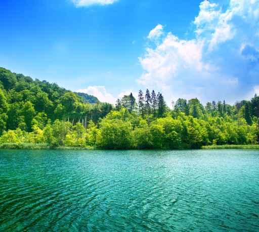 Green Water Lake Wall Decal