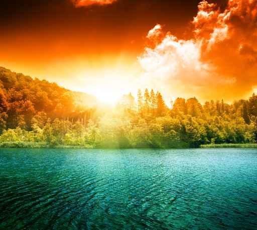 Green Water Lake and Wall Decal