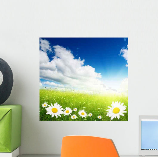 Field Daisies Wall Decal