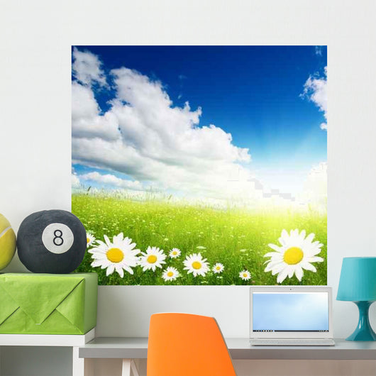 Field Daisies Wall Decal