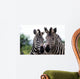 Zebra 015 Wall Mural