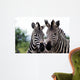 Zebra 015 Wall Mural