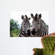 Zebra 015 Wall Mural